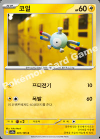 코일 (#81)
